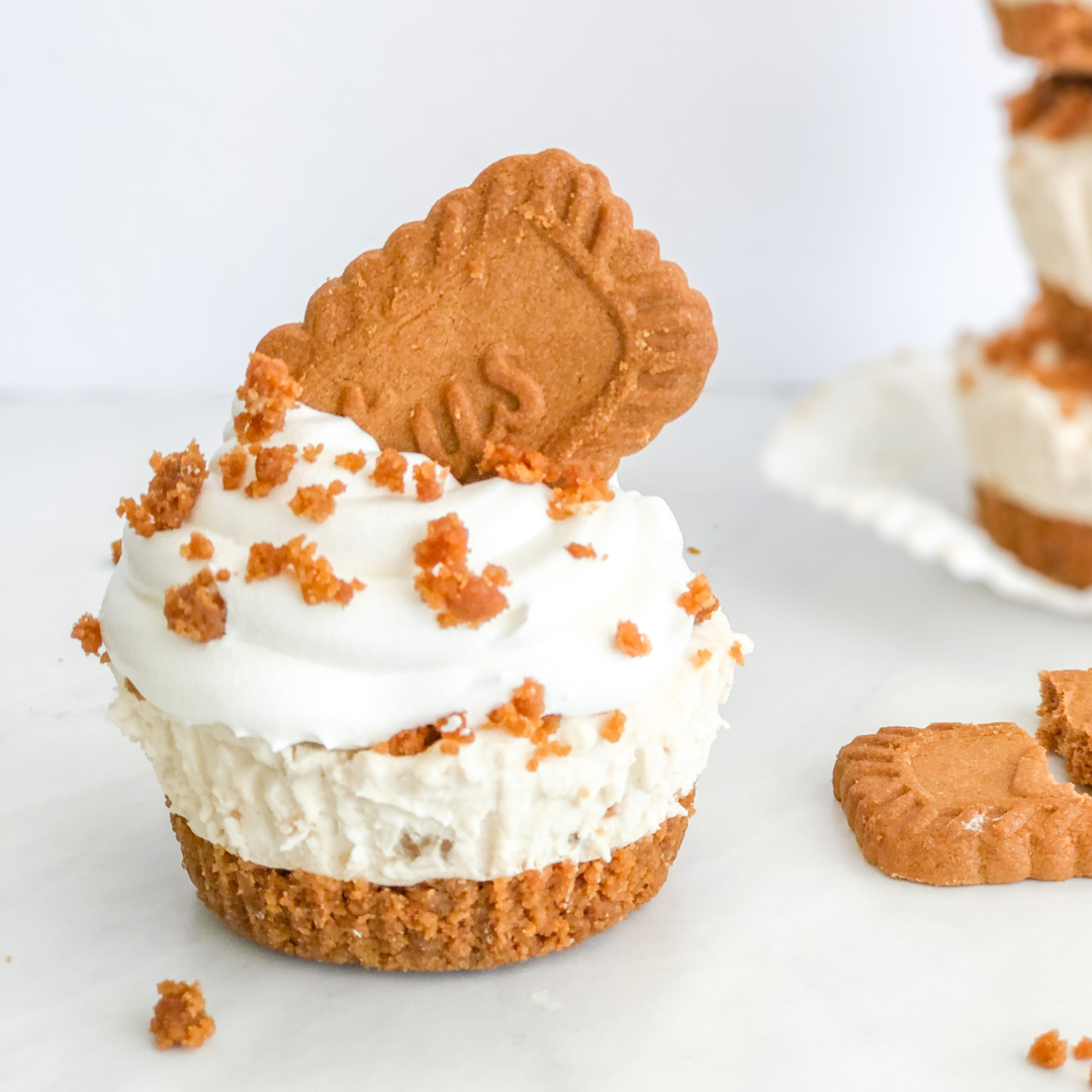 No Bake Mini Biscoff Cheesecakes Semisweet Bites