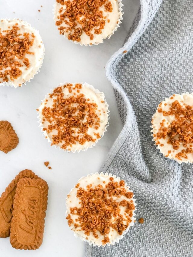 mini biscoff cheesecakes on a grey kitchen towel