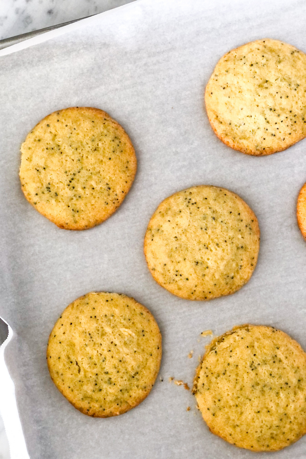 baked lemon cookies on a sheet pan