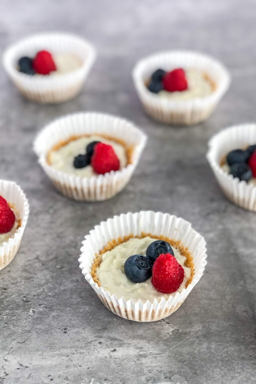 Berry Coconut Greek Yogurt Tarts with Graham Cracker Crust