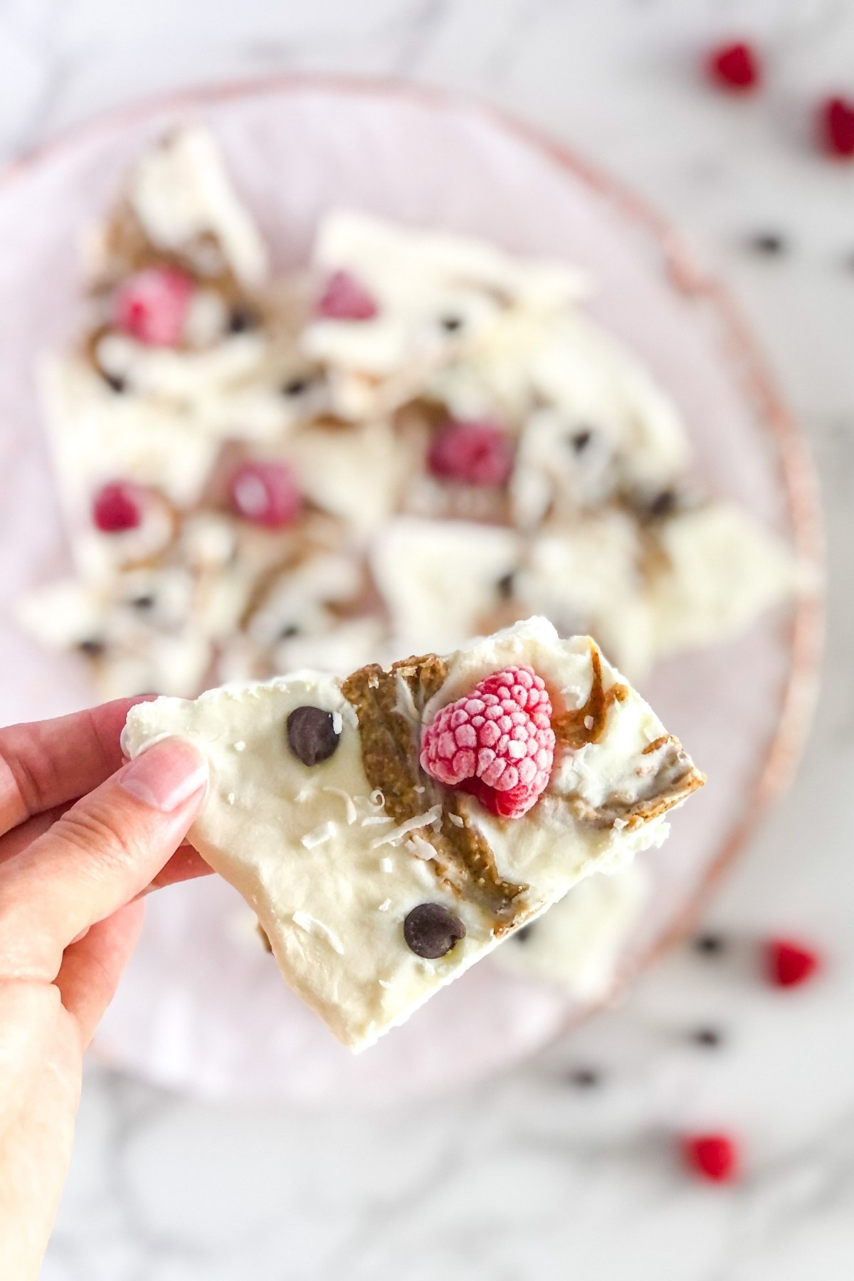 frozen greek yogurt bark with raspberries, chocolate chips, and almond butter swirl